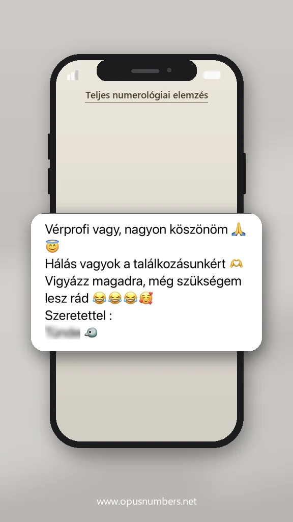 Ügyfélvélemény a numerológiai elemzésről (üzenet képernyőképe) – 18. / 38