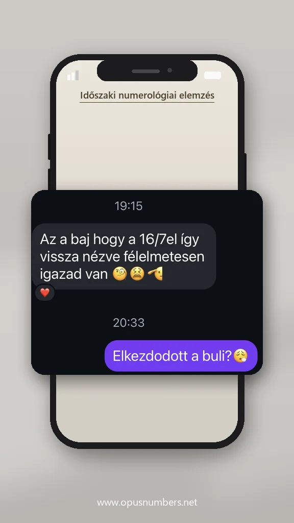 Ügyfélvélemény a numerológiai elemzésről (üzenet képernyőképe) – 2. / 38