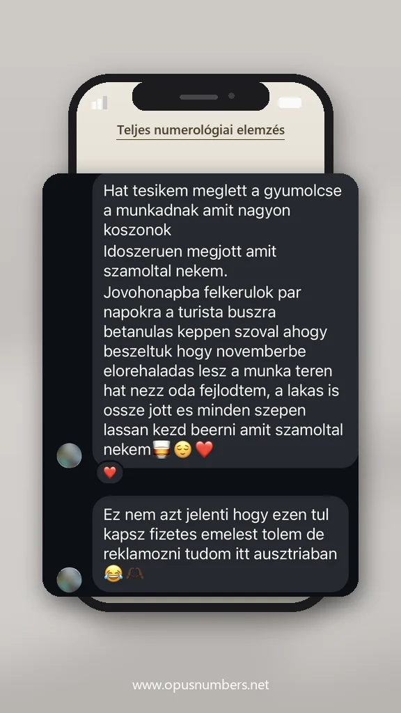 Ügyfélvélemény a numerológiai elemzésről (üzenet képernyőképe) – 23. / 38