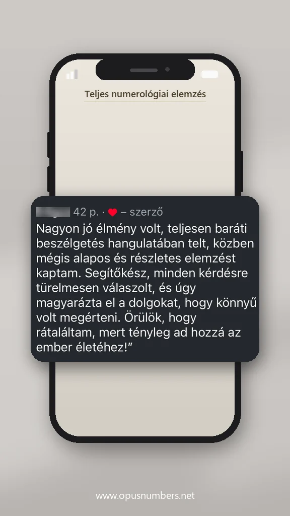 Ügyfélvélemény a numerológiai elemzésről (üzenet képernyőképe) – 25. / 38